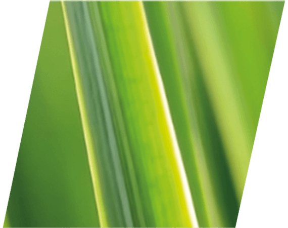 E-061, E-062 - ECO СРЕДСТВА